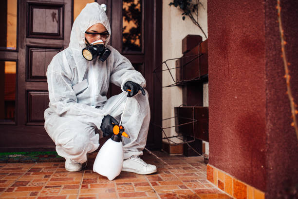 Reliable Wasp Removal contractor in Basile, LA by Show Me Pest Control